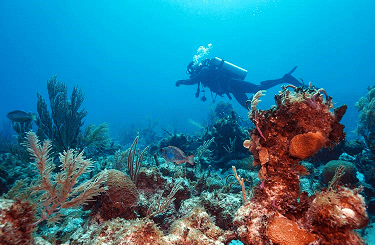 Locais de mergulho em Cuba